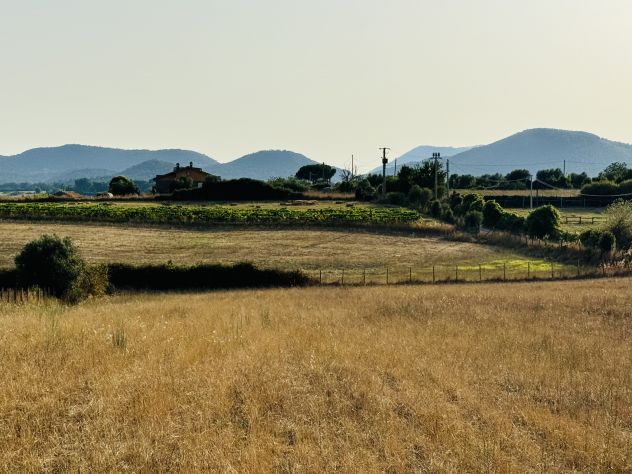 Terreno Agricolo in Bracciano - Foto 5