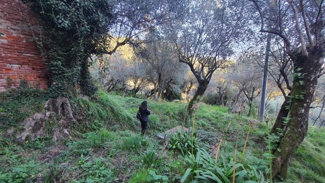 Agricolo in vendita a La Spezia - Foto 15
