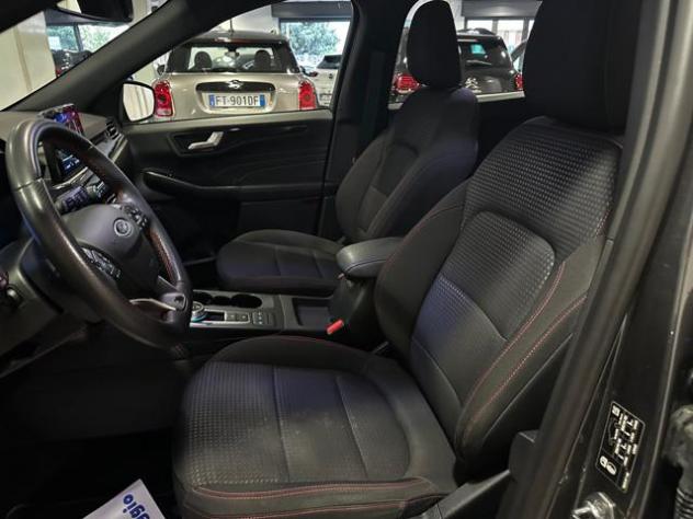 FORD Kuga 1.5 EcoBlue 120 CV 2WD ST-Line rif. 23821509 - Foto 6