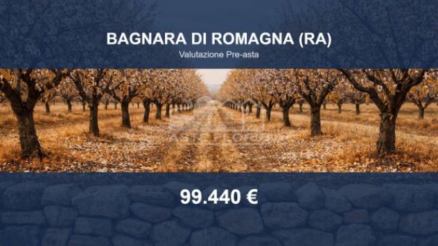 Immobile in asta di 51684 m² in vendita a Bagnara di Romagna