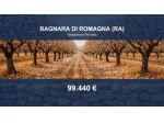 Immobile in asta di 51684 m² in vendita a Bagnara di Romagna