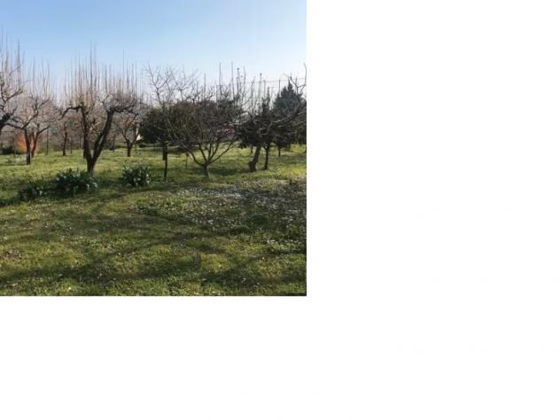 Agricolo in Via Cesinola - Foto 7
