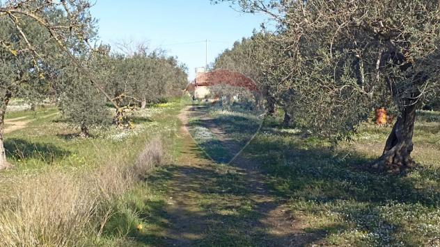 Rustico in vendita a Chiaramonte Gulfi - Foto 9