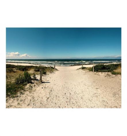 Fotomurale Adesivo Con La Spiaggia Arredalacasa - Foto 2