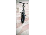 Bicicletta non elettrica