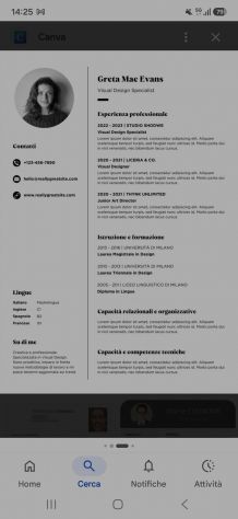 CURRICULUM VITAE: ottimizza e ricevi il tuo file da remoto