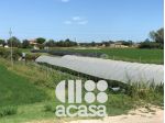 TERRENO AGRICOLO CON POZZO ARTESIANO