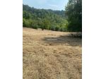 PIEVE DI CAGNA VENDESI TERRENO AGRICOLO DI 6.000 MQ. CIRCA LOCATO A € 7.000 &hellip;