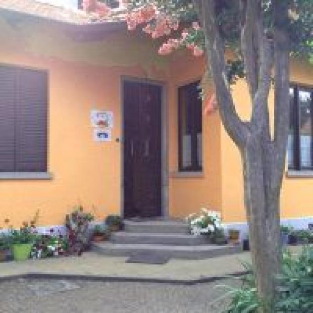 La Tartaruga Reale