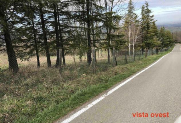 Immobile in asta di 1 m² in vendita a Gazzola - Foto 6