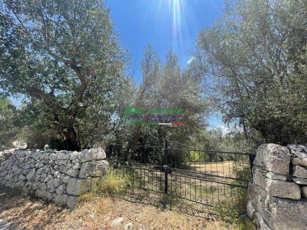 Rif.2616 Casale con Terreno a Frigintini - Modica - Foto 14