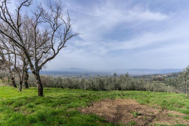 Terreno agricolo in vendita a Vitolini - Vinci 18450 mq Rif: 1399141 - Foto 9