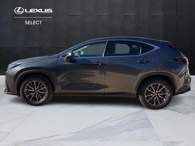 Lexus NX Plug-in 4WD Premium - Foto 6