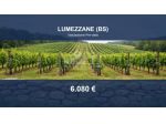 Immobile in asta di 39 m² in vendita a Lumezzane