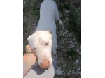 Casper