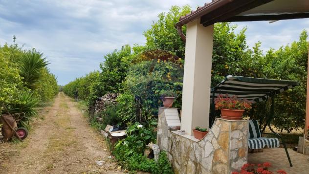Casa Indipendente in vendita a Noto, San Lorenzo - Foto 20