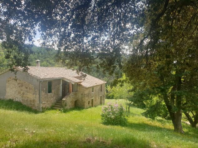 Casale in vendita a Orvieto - Foto 3