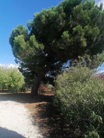 Trifamiliare in vendita a Partinico - Foto 4