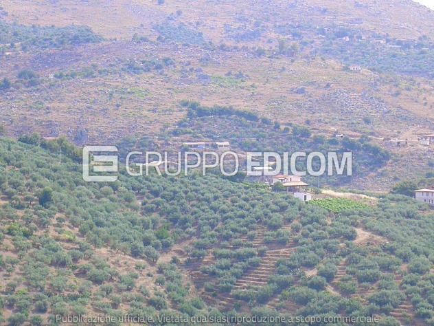 Terreno di 2234 mq in vendita a Belmonte Mezzagno - Rif. 4557340 - Foto 3