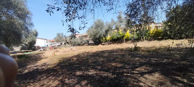 Laurentina - Monte Migliore 2 terreni (Edificabile e agricolo). Imperdibili !!! - Foto 10