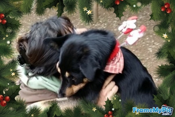 YAGO, un coccolone in cerca d'amore - Foto 3