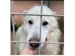 Mozart 3/4anni SPARIRÀ IN 1LAGER! URGENTE ROMA
