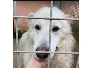 Mozart 3/4anni SPARIRÀ IN 1LAGER! URGENTE ROMA