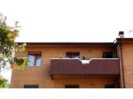 Appartamento in vendita a Bellavista - Poggibonsi 93 mq  Rif: 1450257