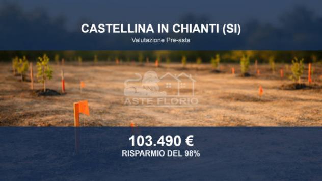 Immobile in asta di 21873 m² in vendita a Castellina in Chianti