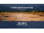 Immobile in asta di 21873 m² in vendita a Castellina in Chianti