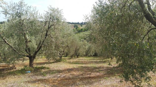 Terreno edif. residenziale in vendita a Paganico - Civitella Paganico 50000 mq Rif: 1072899 - Foto 3