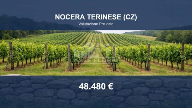 Immobile in asta di 6430 m² in vendita a Nocera Terinese