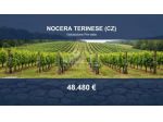 Immobile in asta di 6430 m² in vendita a Nocera Terinese