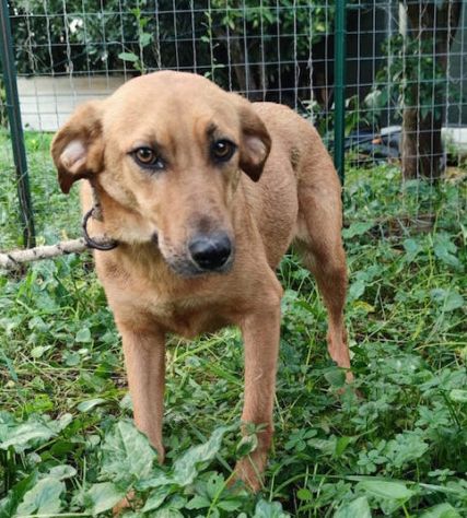 Matilde - Foto 4