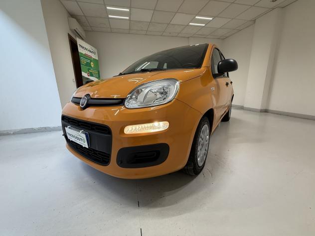 FIAT Panda Panda 1.0 FireFly Hybrid S&S 70CV 5 Posti - PREZZO REALE - Foto 7
