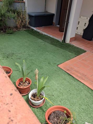 Appartamento in vendita a Montecalvoli Alto - Santa Maria a Monte 40 mq Rif: 1422995