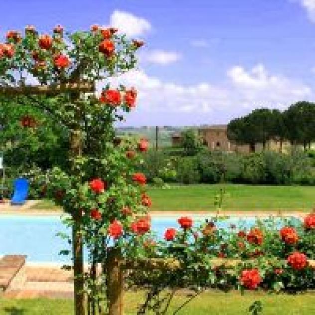 Podere San Luigi di Giubbolini Valentina - Foto 3