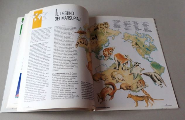 Videoenciclopedia della natura - Foto 7