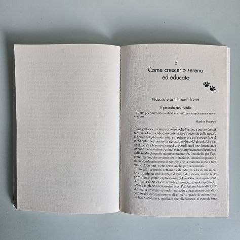 Il Gatto Se Lo Conosci Lo Educhi - Ki - Newton - 2013 - TRACCIATA! - Foto 4