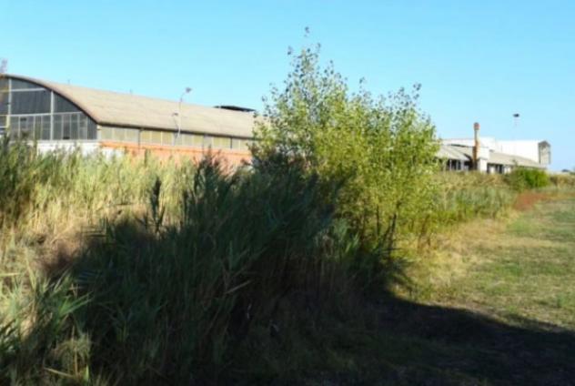 Immobile in asta di 12 m² in vendita a Camposanto - Foto 6