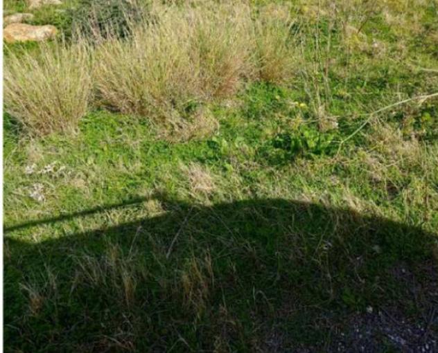 Immobile in asta di 155290 m² in vendita a Salemi - Foto 7