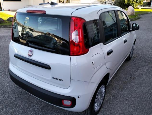 FIAT Pandina 1.0 FireFly S&S Hybrid rif. 23182868 - Foto 4