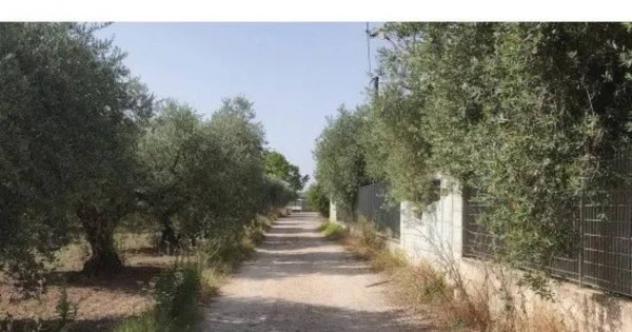 Immobile in asta di 457 m² in vendita a San Severo - Foto 7