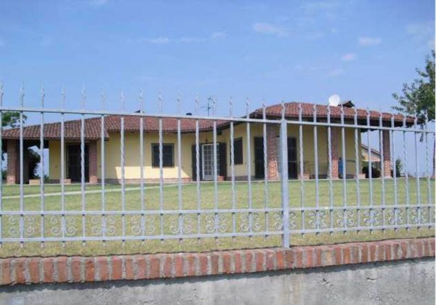 Sud di Alessandria - Vigne e Seminativo - Foto 3