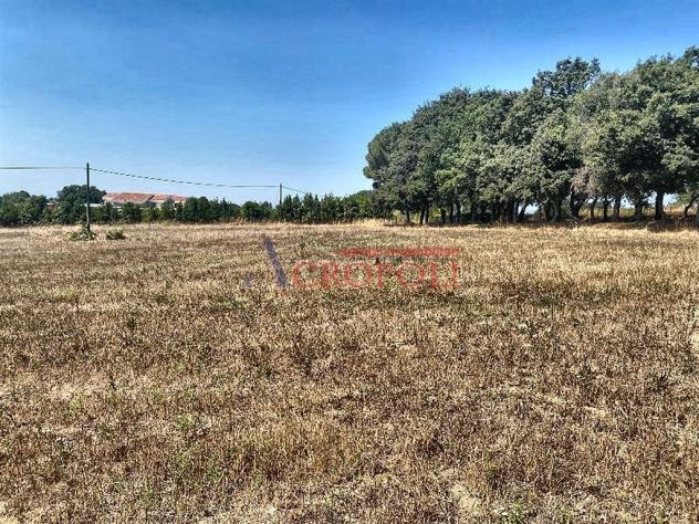 Terreno Agricolo - Rif. 2415 - Foto 4