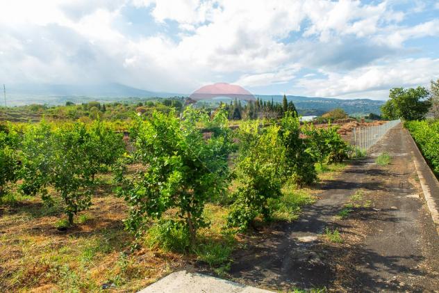 Terreno in vendita a Santa Venerina, Dagala del Re - Foto 14