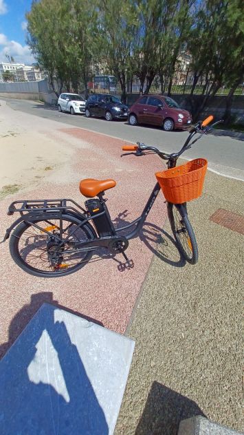 Bici a pedalata assistita