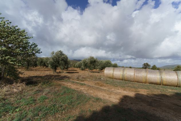 Magliano in Toscana, Podere Pantanella unione di passione e buon gusto - Foto 15