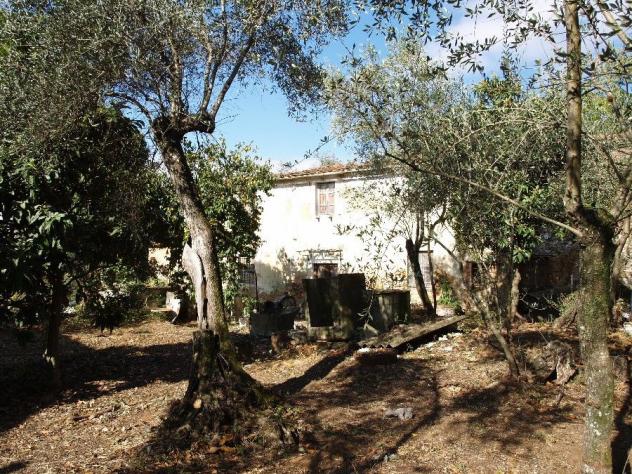 RUSTICO di 6 vani e di 200 mq (CAMAIORE - Pieve di Camaiore) rif. 187 - Foto 4