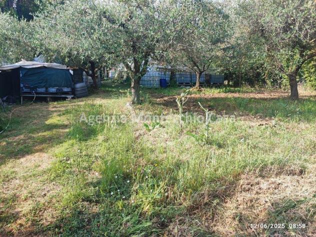 Occasione unica per amanti della natura e della campagna! - Foto 13